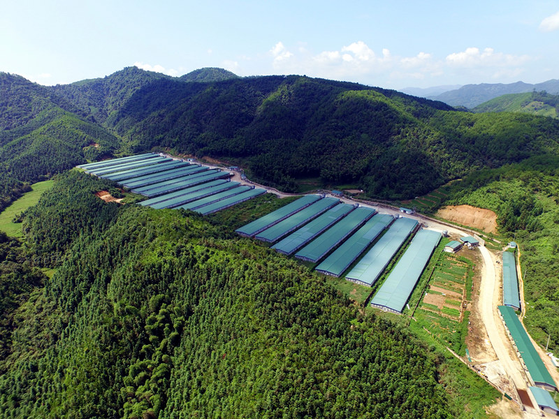 博天堂(918.com)官网-918博天堂,让你更杰出