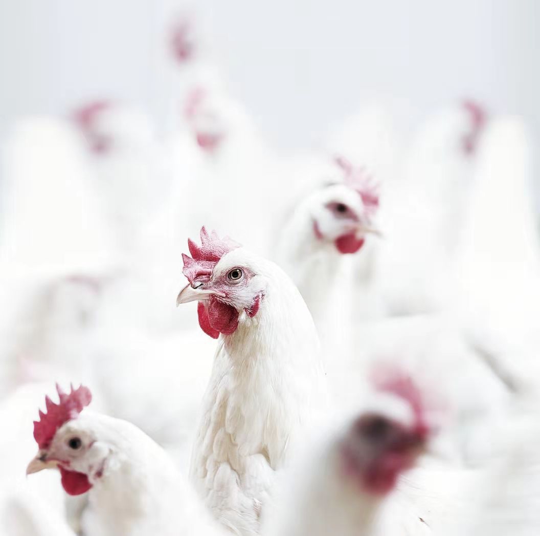 博天堂(918.com)官网-918博天堂,让你更杰出