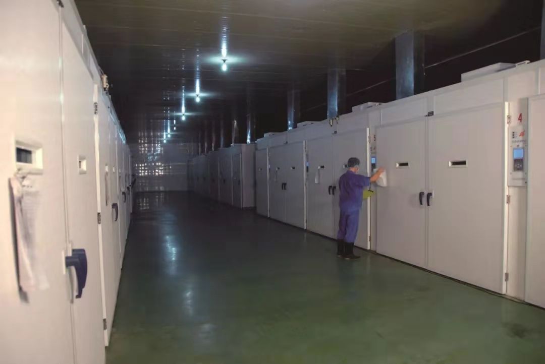 博天堂(918.com)官网-918博天堂,让你更杰出