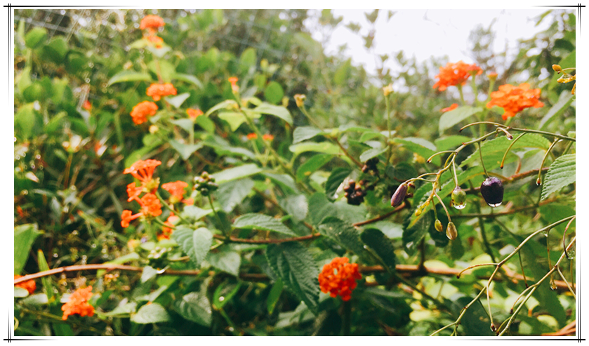 博天堂(918.com)官网-918博天堂,让你更杰出